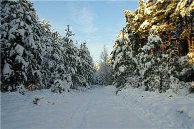 《开球》仅一月玩家数突破五百万！官方发图庆祝